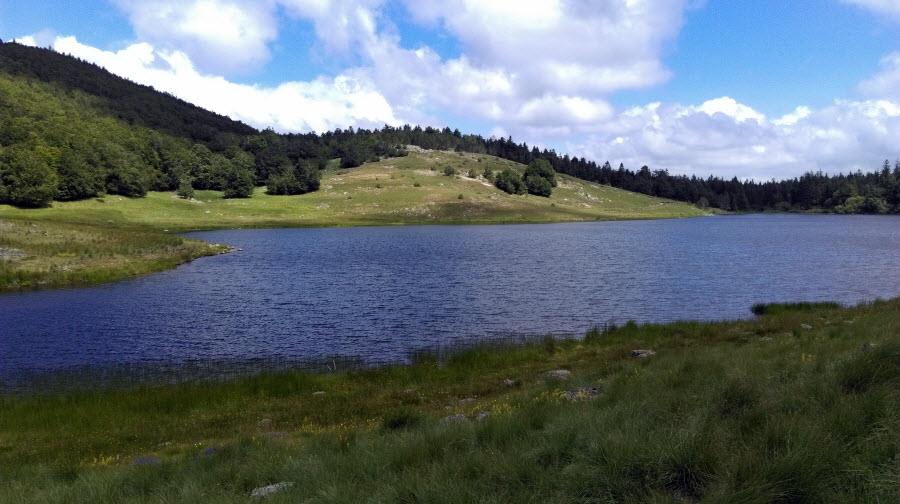 Tour du mont Aigoual - GR66