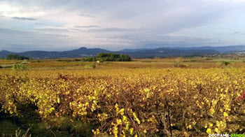 Occitanie-rando - Randonnée pédestre - Gignac - Randonnée du canal et des rieux