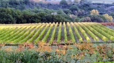 Occitanie-rando - Randonnée pédestre - Saint-Saturnin-de-Lucian - Le Roc des Deux Vierges