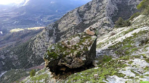 Occitanie-rando - Randonnée pédestre - Caroux - De l'Esquino d'Aze à la vire de Roque-Rouge