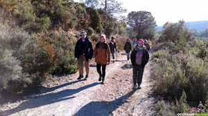 Occitanie-rando - Randonnée pédestre - Liausson - Le Mont Mars