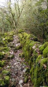 Occitanie-rando - Randonnée pédestre - de Pégairolles-de-l'Escalette à Saint-Félix-de-l'Héras