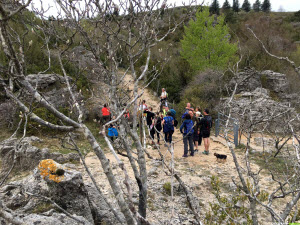 Occitanie-rando - Randonnée pédestre - Lodévois - Larzac  - Le plateau de l'Escandorgue