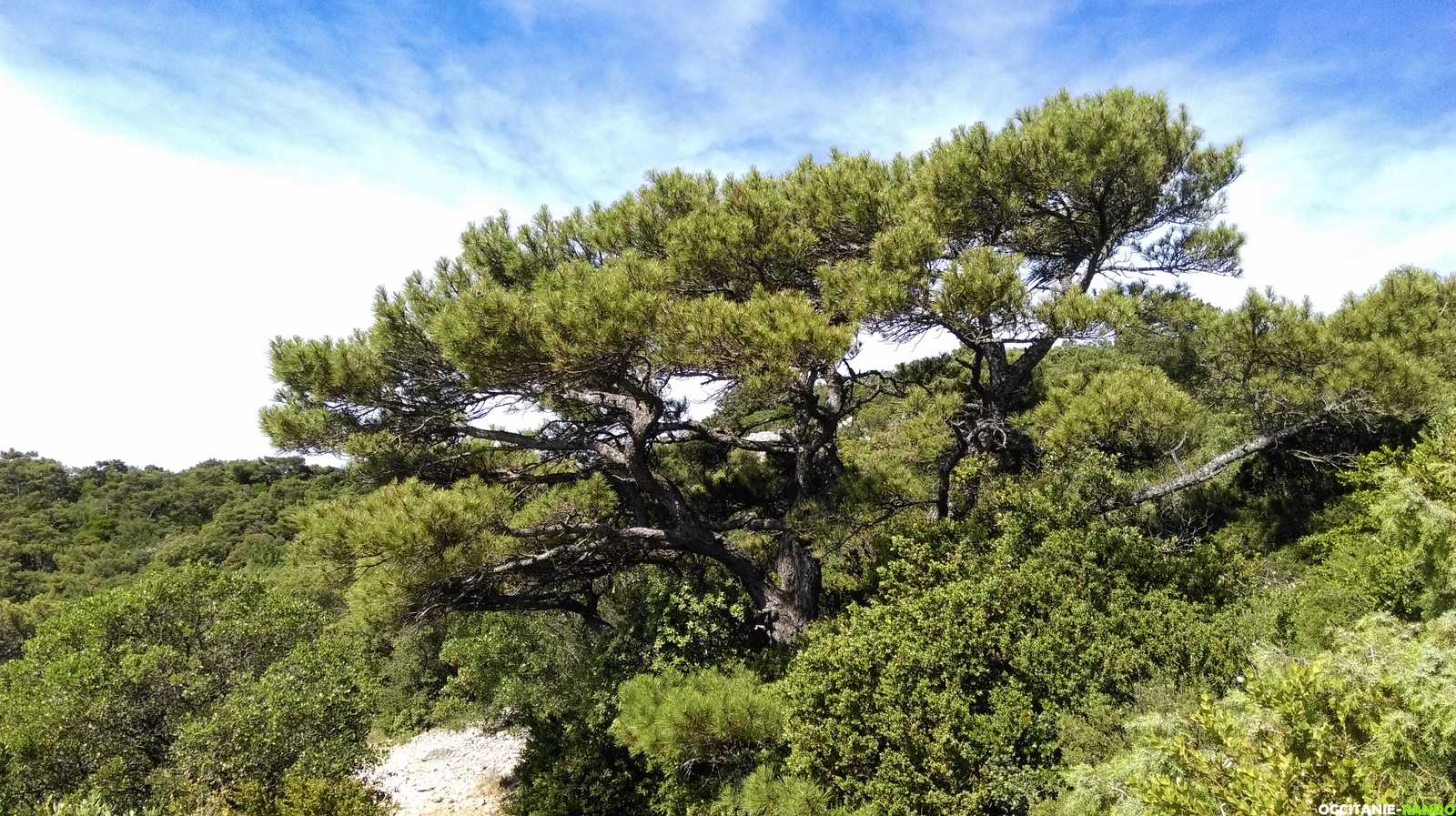 Occitanie-rando - Randonnée pédestre - Saint-Jean-de-Fos - La maison des Légendes et ses grottes