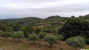 Occitanie-rando - Randonnée pédestre - PR De la tourelle aux meules - Nébian