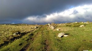 Occitanie-rando - Tour des Monts d'Aubrac et Le Chemin de Saint-Guilhem-le-Désert