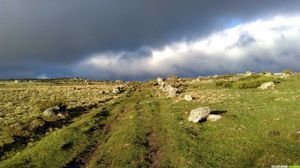 Occitanie-rando - Tour des Monts d'Aubrac et Le Chemin de Saint-Guilhem-le-Désert