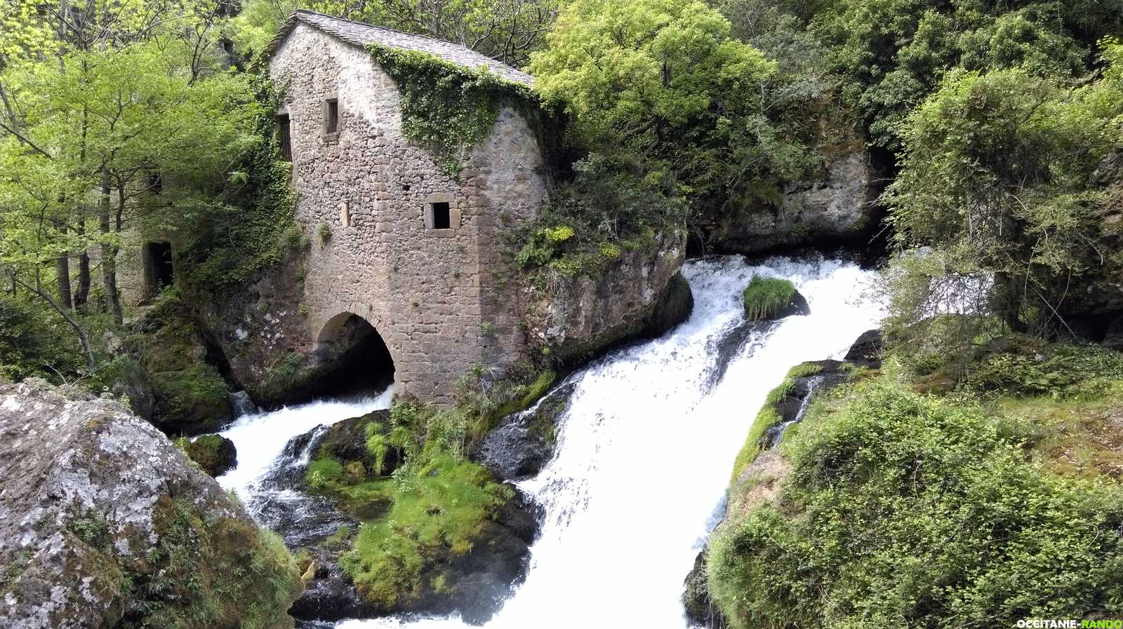 Occitanie-rando - Randonnée pédestre - Navacelles - Cirque de Navacelles et les gorges de la Vis