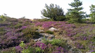 Occitanie-rando - Randonnée itinérante - Tours de la Montagne du Haut-Languedoc - Boucle du Somail - 2 jours