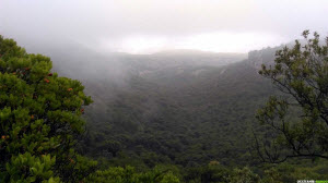 Occitanie-rando - Randonnée - Hérault - Saint-Guilhem-le-Désert - La baume de l'Olivier