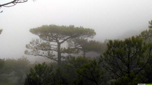 Occitanie-rando - Randonnée - Hérault - Saint-Guilhem-le-Désert - La baume de l'Olivier