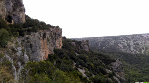 Occitanie-rando - Randonnée - Hérault - Saint-Guilhem-le-Désert - La baume de l'Olivier