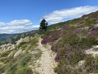 Occitanie-rando - Randonnée itinérante - Hérault - Tour du Haut-Languedoc - Caroux - Espinouse