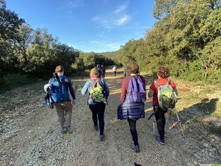 Occitanie-rando - Randonnée - Hérault - Puéchabon - Les balcons de l'Héraultlateau du Grézac