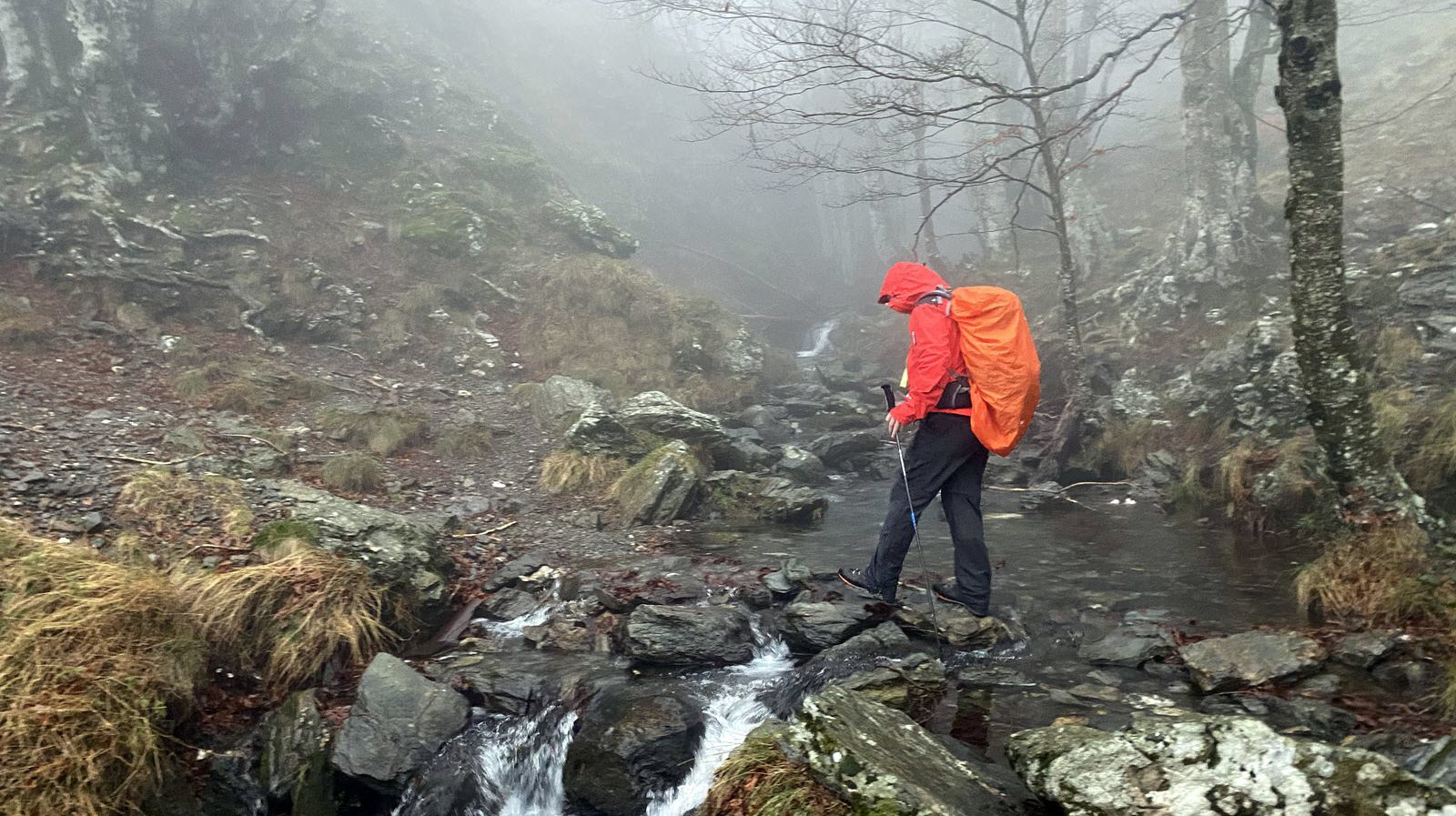 Occitanie-rando - Randonnée - Gard - Mont Aigoual - 4000 marches