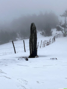 Occitanie-rando - Randonnée - Gard - Mont Aigoual - 4000 marches