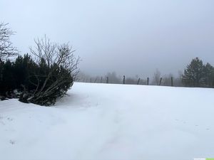 Occitanie-rando - Randonnée - Gard - Mont Aigoual - 4000 marches