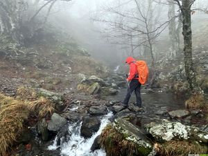 Occitanie-rando - Randonnée - Gard - Mont Aigoual - 4000 marches