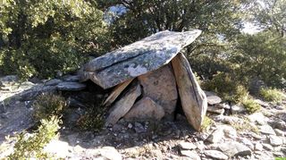 Occitanie-rando - Randonnée - Hérault - Caroux - Piste de la Ruffe - Cabrières - Draille des Crozes