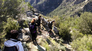 Occitanie-rando - Randonnée - Hérault - Cévennes - Sumène - Caroux - Sentier des Gardes