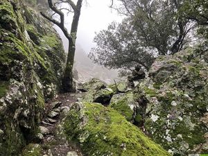 Occitanie-rando - Trekking - Hérault - Caroux - Sentier Sup. du Cabalet - Gleyzo - Maure Auge - GRP - Haut-Languedoc - Vignobles