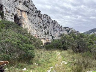 Occitanie-rando - Randonnée - Hérault - Saint-Martin-de-Londres - Ravin des Arcs - Lamalou