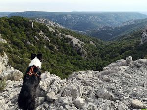 Occitanie-rando - Trekking - Hérault - Saint-Guilhem-le-Désert - Le tour de Saint-Guilhem-le-Désert