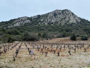 Occitanie-rando - Randonnée - Hérault - Cabrières - Le pic de Vissou