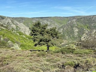 Occitanie-rando - Trekking - Hérault - Douch - Sentier des 3 cols - Héric - Airole - Salis - Bardoux