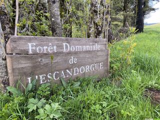 Occitanie-rando - Randonnée - Hérault - Roqueredonde - Forêt Escandorgue - Cirque de Labeil - Larzac