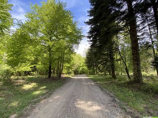 Occitanie-rando - Randonnée - Hérault - Roqueredonde - Forêt Escandorgue - Cirque de Labeil - Larzac