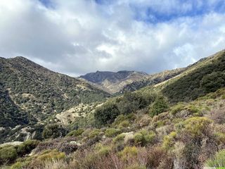 Occitanie-rando - Randonnée - Hérault - Haut-Languedoc - Saint-Gervais-sur-Mare - Banissous