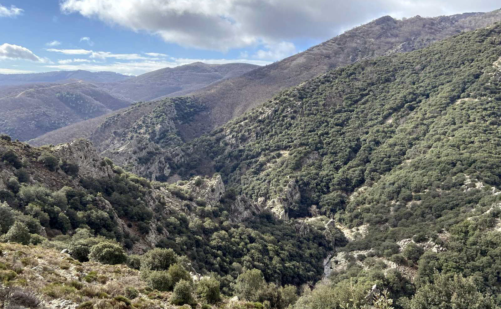 Occitanie-rando - Randonnée - Hérault - Haut-Languedoc - Saint-Gervais-sur-Mare - Banissous