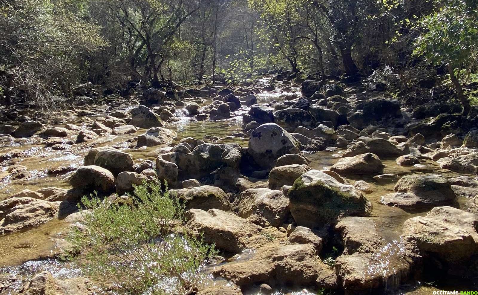 Occitanie-rando - Randonnée - Hérault - Saint-Martin-de-Londres - Ravin - Des Arcs - Lamalou