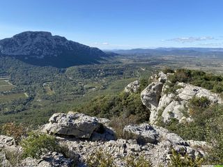 Occitanie-rando - Randonnée pédestre - Hérault - Valflaunès - Falaises de l'Hortus - Pic Saint-Loup