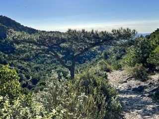 Randonnée - Saint-Guilhem-le-Desert - Itinérance - 2 jours