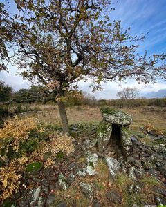Occitanie-rando - Randonnée - Hérault - Octon - Dolmen de Toucou - Chapelle Notre-Dame-de-Roubignac - Château de Lauzières