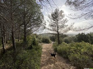 Occitanie-rando - Randonnée - Hérault - Roc - Deux vierges - Saint-Saturnin-de-Lucian - Félibres - Frédéric Mistral - Chapelle Saint-Fulcran