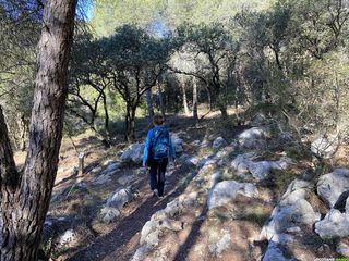 Sentier dans la forêt de la Gardiole près de Montpellier