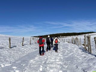 Occitanie-rando - Randonnée - Aveyron - Aubrac - Raquettes - Aubrac-Rando