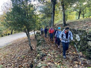 Occitanie-rando - Trekking - Hérault - Saint-Gervais-sur-Mare - GR653 Compostelle - Castel - Neyran