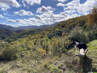 Occitanie-rando - Trekking - Hérault - Saint-Gervais-sur-Mare - GR653 Compostelle - Castel - Neyran