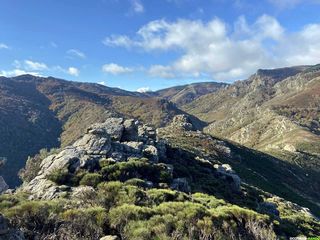 Occitanie-rando - Trekking - Hérault - Saint-Gervais-sur-Mare - GR653 Compostelle - Castel - Neyran