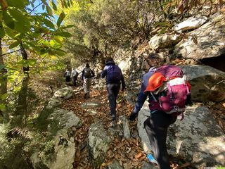 Occitanie - Trekking - Hérault- Caroux - Saint-Martin-de-l'Arçon - Piste des Aiguilles - Col de Bartouyre - Gorges d'Héric - Font-Salesse - Rieutord