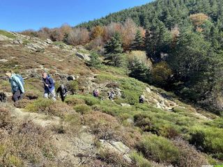 Occitanie - Trekking - Hérault- Caroux - Saint-Martin-de-l'Arçon - Piste des Aiguilles - Col de Bartouyre - Gorges d'Héric - Font-Salesse - Rieutord