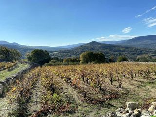 Occitanie-rando - Randonnée - Hérault - Soubès - Lou Camin Farrat - Dolmen - GRP Tour du Larzac