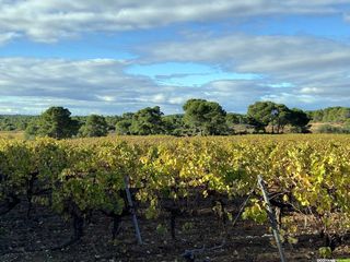 Occitanie-rando - Randonnée - Hérault - Montagnac - Parcours Art et Nature - Etendoir des Fées