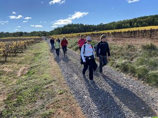 Occitanie-rando - Randonnée - Hérault - Montagnac - Parcours Art et Nature - Etendoir des Fées