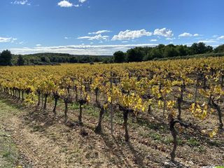 Occitanie-rando - Randonnée - Hérault - Montagnac - Parcours Art et Nature - Etendoir des Fées