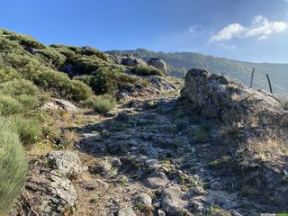 Occitanie-rando - Randonnée Itinérante - Gard - Lozère - Dourbies - Meyrueis - Aigoual - Espérou - GR66 - 4 jours